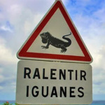 FDS2024 / Espace Ti’tè - La Désirade